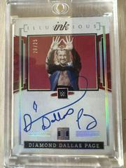Diamond Dallas Page [Holo Silver] #IL-DDP Wrestling Cards 2022 Panini Impeccable WWE Illustrious Ink Autographs Prices