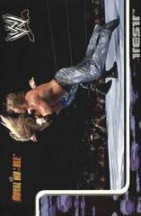 Test #58 Wrestling Cards 2002 Fleer WWF Royal Rumble Prices