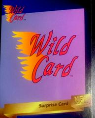 Surprise Card #1 Football Cards 1993 Wild Card Prices