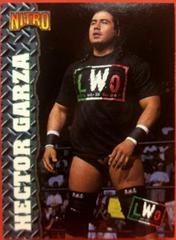 Hector Garza Wrestling Cards 1999 Topps WCW/nWo Nitro Prices