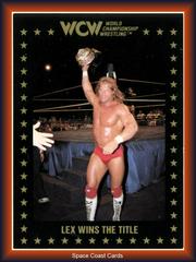 Lex Wins the Title Wrestling Cards 1991 Championship Marketing WCW Prices