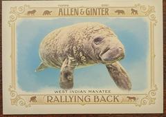 West Indian Manatee #RB-10 Baseball Cards 2021 Topps Allen & Ginter Rallying Back Prices