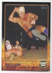 Ric Flair [Black] Wrestling Cards 2015 Topps WWE Prices