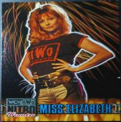 Miss Elizabeth Wrestling Cards 1999 Topps WCW/nWo Nitro Prices