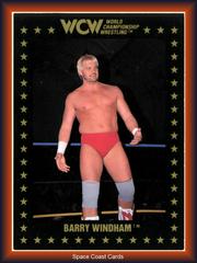 Barry Windham Wrestling Cards 1991 Championship Marketing WCW Prices