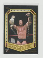 Stone Cold Steve Austin #10 Wrestling Cards 2014 Topps WWE Champions Prices