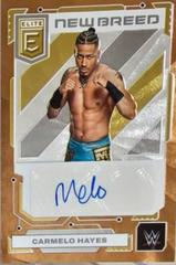 Carmelo Hayes [Gold] Wrestling Cards 2023 Donruss Elite WWE New Breed Autograph Prices
