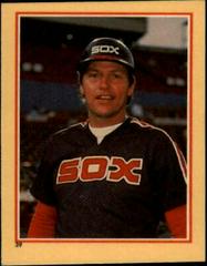 Carlton Fisk #39 Baseball Cards 1984 Fleer Stickers Prices