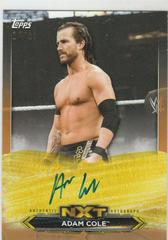 Adam Cole [Bronze] #A-AC Wrestling Cards 2020 Topps WWE NXT Roster Autographs Prices