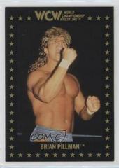 Brian Pillman #11 Wrestling Cards 1991 Championship Marketing WCW Prices