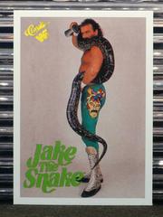 Jake 'The Snake' Roberts Wrestling Cards 1990 Classic WWF Prices