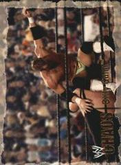 Billy Gunn [Gold] #37 Wrestling Cards 2004 Fleer WWE Chaos Prices