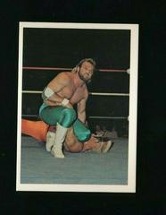Eddie Gilbert, Sting #104 Wrestling Cards 1988 Wonderama NWA Prices
