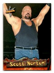 Scott Norton Wrestling Cards 1999 Topps WCW Embossed Prices