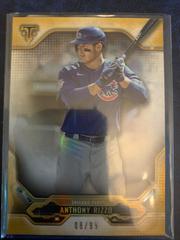 Anthony Rizzo [Gold] #19 Baseball Cards 2020 Topps Triple Threads Prices