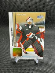 Ann Renee Desbiens [High Gloss] #42 Hockey Cards 2023 Upper Deck Team Canada Juniors Prices