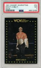 What a Belt! Wrestling Cards 1991 Championship Marketing WCW Prices