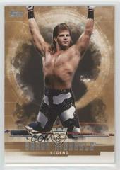 Shawn Michaels [Bronze] Wrestling Cards 2017 Topps WWE Undisputed Prices