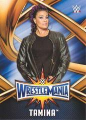 Tamina Wrestling Cards 2017 Topps WWE Road To Wrestlemania 33 Roster Prices
