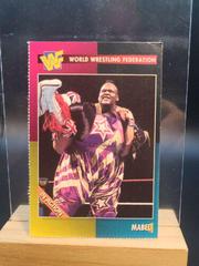 Mabel Wrestling Cards 1995 WWF Magazine Prices