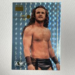 Jungle Boy' Jack Perry [Star Sapphires] #PP- 10 Wrestling Cards 2022 SkyBox Metal Universe AEW Premium Prices
