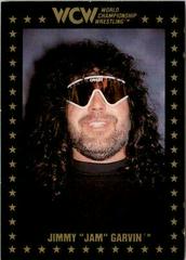 Jimmy 'Jam' Garvin Wrestling Cards 1991 Championship Marketing WCW Prices