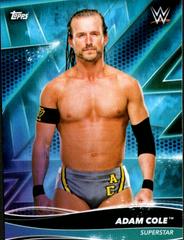 Adam Cole Wrestling Cards 2021 Topps WWE Superstars Prices