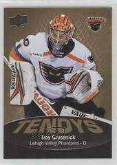 Troy Grosenick [Gold] Hockey Cards 2022 Upper Deck AHL Tendys Prices