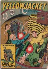 Yellowjacket Comics #5 (1945) Comic Books Yellowjacket Comics Prices