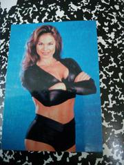 Ivory Wrestling Cards 1999 WWF SmackDown Prices