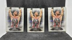 Rob Van Dam #16 Wrestling Cards 2015 Topps WWE Undisputed Prices