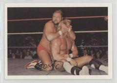 Arn Anderson, Lex Luger #53 Wrestling Cards 1988 Wonderama NWA Prices