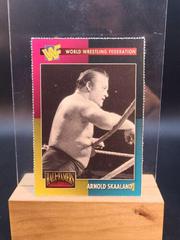 Arnold Skaaland Wrestling Cards 1995 WWF Magazine Prices