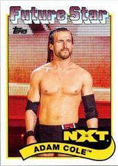 Adam Cole #91 Wrestling Cards 2018 Topps WWE Heritage Prices