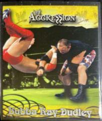 Bubba Ray Dudley #5 Wrestling Cards 2003 Fleer WWE Aggression Prices