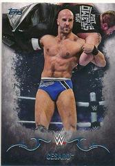 Cesaro #8 Wrestling Cards 2016 Topps WWE Undisputed Prices