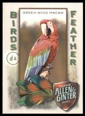 Green-Wing Macaw Baseball Cards 2021 Topps Allen & Ginter Birds of a Feather Prices