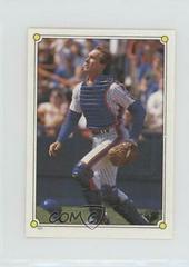 Gary Carter Baseball Cards 1987 Topps Stickers Prices