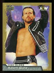 Adam Cole [High Gloss] #27 Wrestling Cards 2022 Upper Deck AEW Prices
