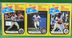 Gary Carter, Ryne Sandberg [Hand Cut Panel] Baseball Cards 1987 Drake's Prices