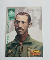 Moses Walker #114 Baseball Cards 1994 Ted Williams Co Prices