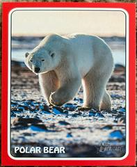 Polar Bear [Red] #75Z-9 Baseball Cards 2024 Topps Heritage Zoo’s Who Stick-On Prices