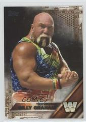 Billy Graham [Bronze] #95 Wrestling Cards 2016 Topps WWE Prices