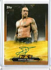 Damian Priest [Bronze] Wrestling Cards 2020 Topps WWE NXT Roster Autographs Prices