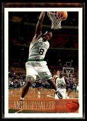 Antoine Walker Basketball Cards 1996 Topps Prices