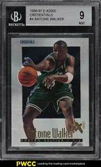 Antoine Walker [Credentials] Basketball Cards 1996 Skybox E-X2000 Prices
