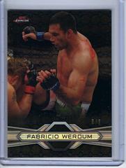 Fabricio Werdum Ufc Cards 2013 Finest UFC Prices