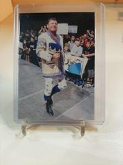 Jerry Lawler #70 Wrestling Cards 1998 WWF Superstarz Prices