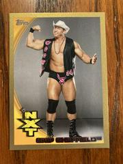 Skip Sheffield [Gold] Wrestling Cards 2010 Topps WWE Prices