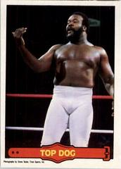 Top Dog #27 Wrestling Cards 1985 O Pee Chee WWF Series 2 Prices
